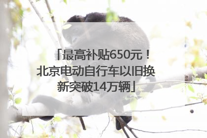 最高补贴650元！北京电动自行车以旧换新突破14万辆