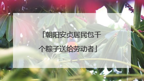 朝阳安贞居民包千个粽子送给劳动者