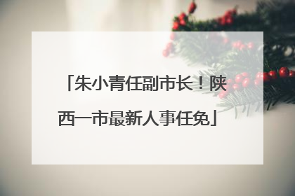 朱小青任副市长！陕西一市最新人事任免