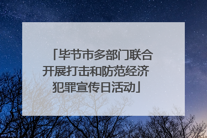 毕节市多部门联合开展打击和防范经济犯罪宣传日活动