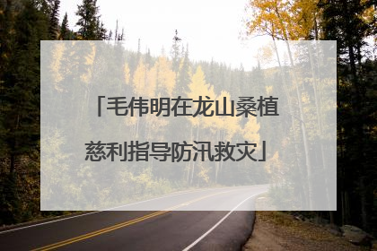 毛伟明在龙山桑植慈利指导防汛救灾