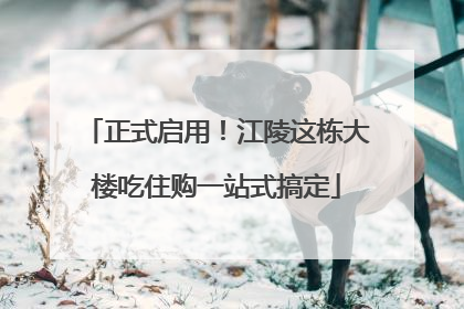 正式启用！江陵这栋大楼吃住购一站式搞定