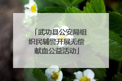 武功县公安局组织民辅警开展无偿献血公益活动