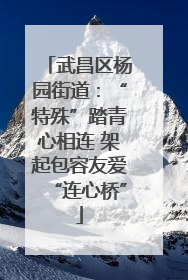 武昌区杨园街道：“特殊”踏青心相连 架起包容友爱“连心桥”