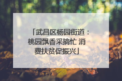 武昌区杨园街道：桃园飘香采摘忙 消费扶贫促振兴