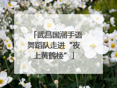 武昌国潮手语舞蹈队走进“夜上黄鹤楼”