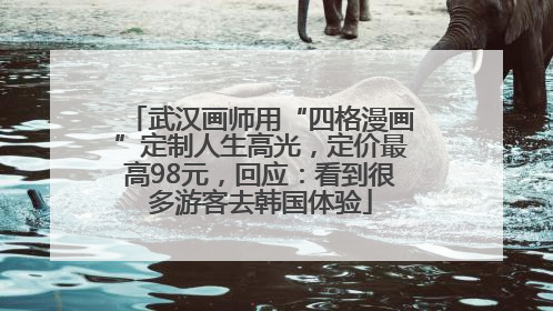 武汉画师用“四格漫画”定制人生高光，定价最高98元，回应：看到很多游客去韩国体验