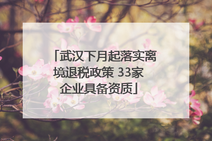 武汉下月起落实离境退税政策 33家企业具备资质