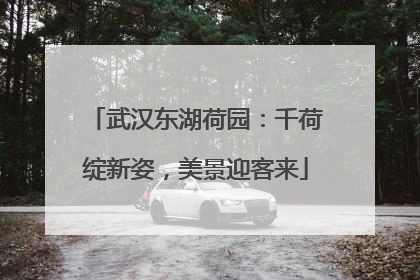 武汉东湖荷园：千荷绽新姿，美景迎客来