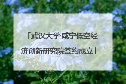 武汉大学·咸宁低空经济创新研究院签约成立