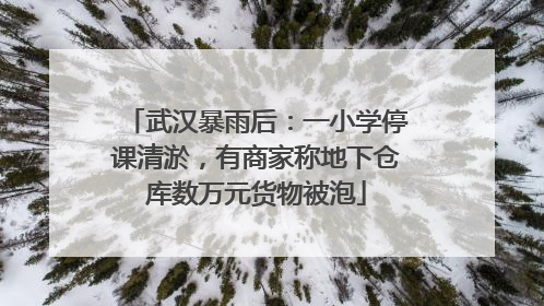 武汉暴雨后：一小学停课清淤，有商家称地下仓库数万元货物被泡