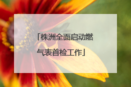 株洲全面启动燃气表首检工作
