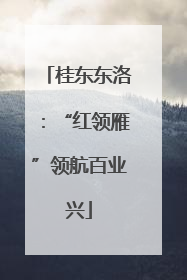 桂东东洛：“红领雁”领航百业兴