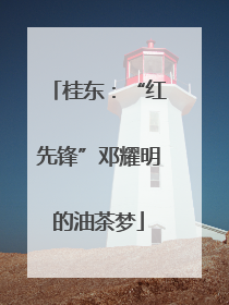 桂东：“红先锋”邓耀明的油茶梦