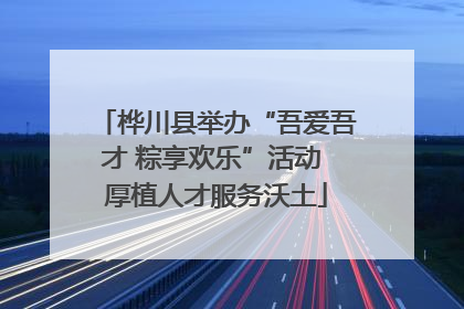 桦川县举办“吾爱吾才 粽享欢乐”活动 厚植人才服务沃土