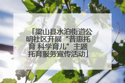 梁山县水泊街道公明社区开展“普惠托育 科学育儿”主题托育服务宣传活动