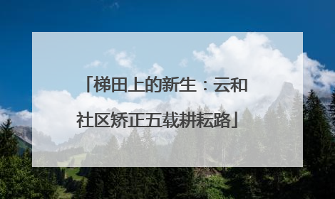 梯田上的新生：云和社区矫正五载耕耘路