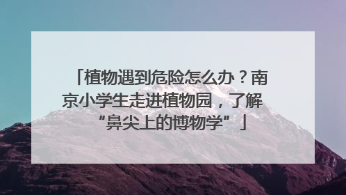 植物遇到危险怎么办？南京小学生走进植物园，了解“鼻尖上的博物学”