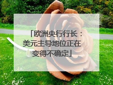 欧洲央行行长：美元主导地位正在变得不确定