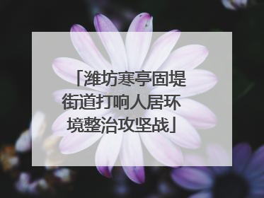潍坊寒亭固堤街道打响人居环境整治攻坚战