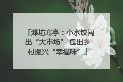 潍坊寒亭：小水饺闯出“大市场” 包出乡村振兴“幸福味”