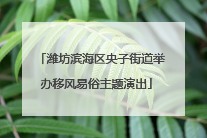 潍坊滨海区央子街道举办移风易俗主题演出