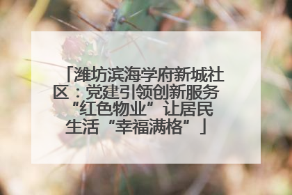 潍坊滨海学府新城社区：党建引领创新服务 “红色物业”让居民生活“幸福满格”