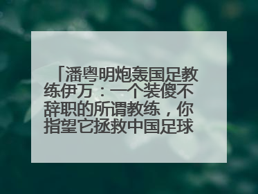 潘粤明炮轰国足教练伊万：一个装傻不辞职的所谓教练，你指望它拯救中国足球！此前曾多次发文评价国足