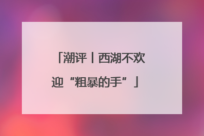 潮评丨西湖不欢迎“粗暴的手”