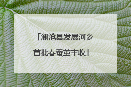 澜沧县发展河乡首批春蚕茧丰收