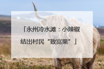 永州冷水滩：小辣椒结出村民“致富果”