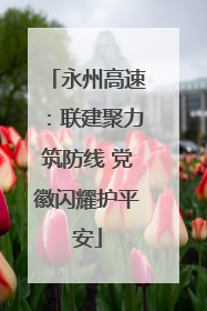 永州高速：联建聚力筑防线 党徽闪耀护平安