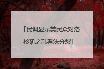 民调显示美民众对洛杉矶之乱看法分裂