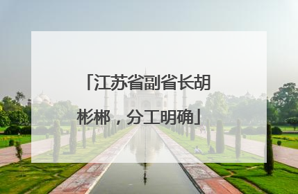 江苏省副省长胡彬郴，分工明确