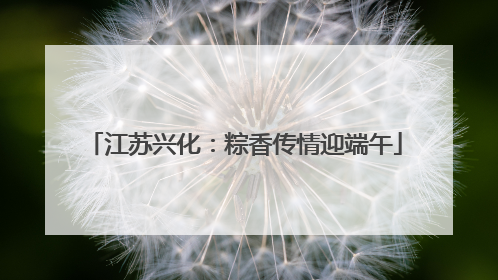 江苏兴化：粽香传情迎端午