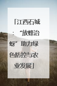 江西石城：“放蜂治蚜”助力绿色防控与农业发展