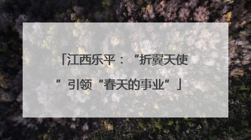 江西乐平：“折翼天使”引领“春天的事业”
