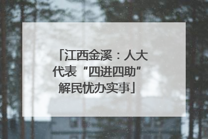 江西金溪：人大代表“四进四助”解民忧办实事