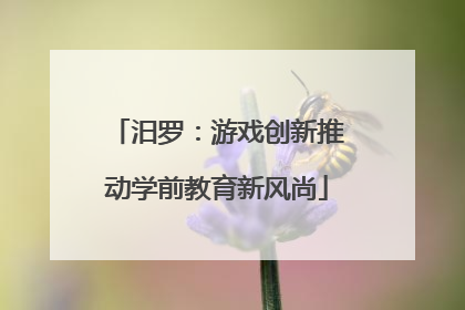 汨罗：游戏创新推动学前教育新风尚