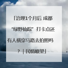 治理1个月后 成都“绿野仙踪”打卡点还有人横穿马路去拍照吗？｜民情瞭望