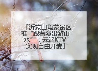 沂蒙山龟蒙景区推“跟着演出游山水”，云端KTV实现自由开麦