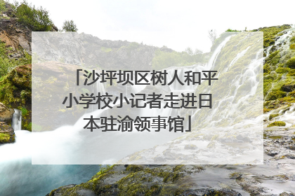 沙坪坝区树人和平小学校小记者走进日本驻渝领事馆