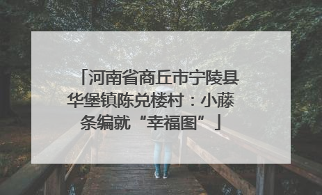 河南省商丘市宁陵县华堡镇陈兑楼村：小藤条编就“幸福图”