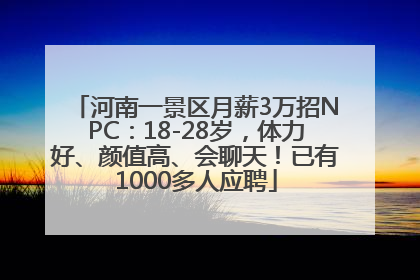 河南一景区月薪3万招NPC：18-28岁，体力好、颜值高、会聊天！已有1000多人应聘