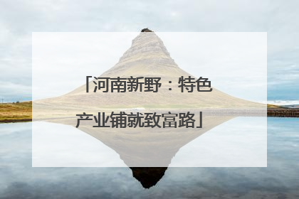 河南新野：特色产业铺就致富路