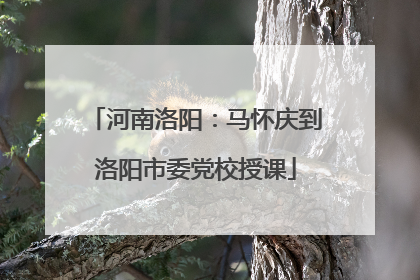 河南洛阳：马怀庆到洛阳市委党校授课