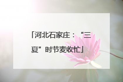 河北石家庄：“三夏”时节麦收忙