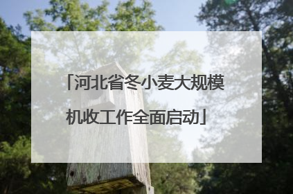 河北省冬小麦大规模机收工作全面启动