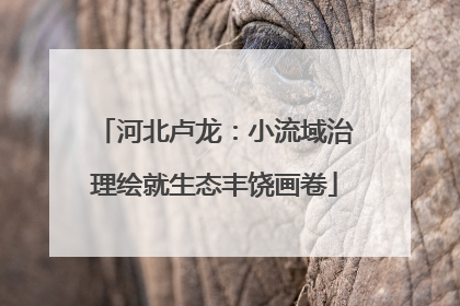 河北卢龙：小流域治理绘就生态丰饶画卷