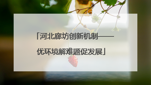 河北廊坊创新机制——优环境解难题促发展